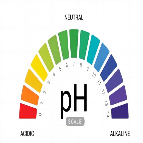 What is the difference between alkaline water and acidic water